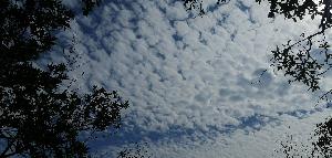 IMG_20201129_113354.jpg