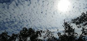 IMG_20201129_112611.jpg