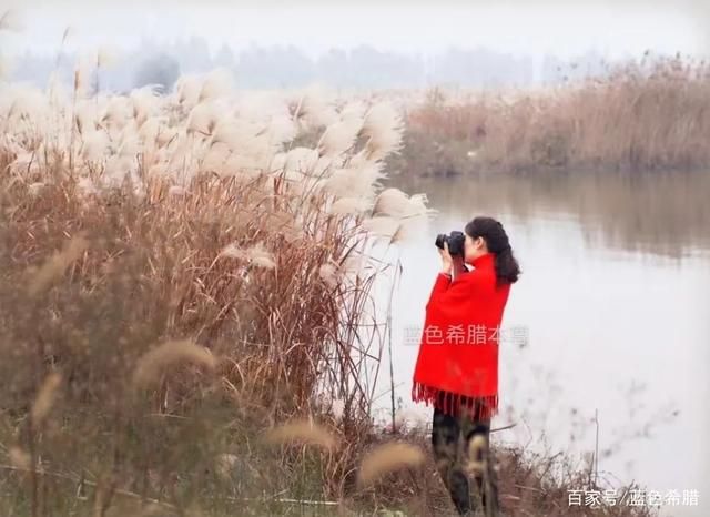 作为一个摄影爱好者，我认为审美和技术同等重要，你的...-1.jpg