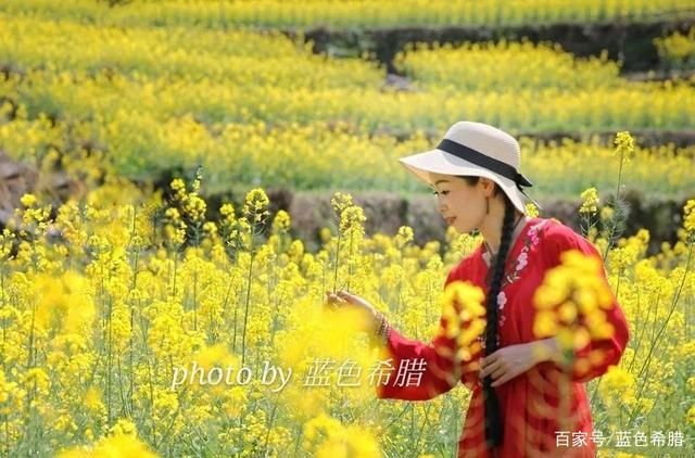 作为一个摄影爱好者，我认为审美和技术同等重要，你的...-2.jpg