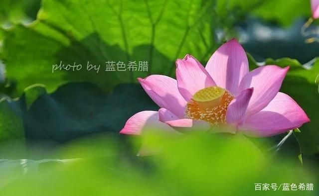 作为一个摄影爱好者，我认为审美和技术同等重要，你的...-4.jpg