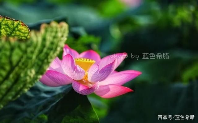作为一个摄影爱好者，我认为审美和技术同等重要，你的...-5.jpg