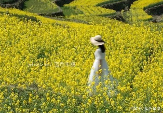 作为一个摄影爱好者，我认为审美和技术同等重要，你的...-6.jpg