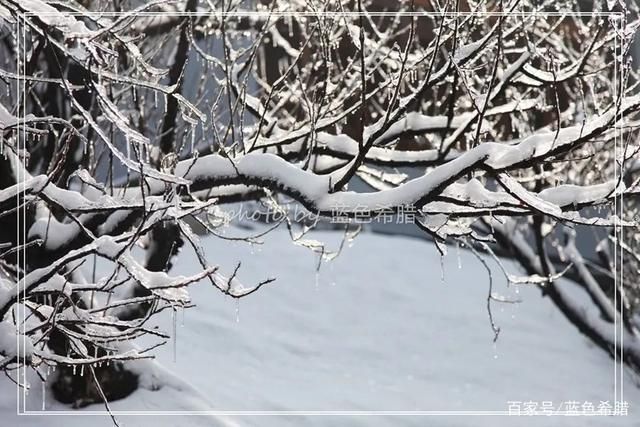 作为一个摄影爱好者，我认为审美和技术同等重要，你的...-8.jpg