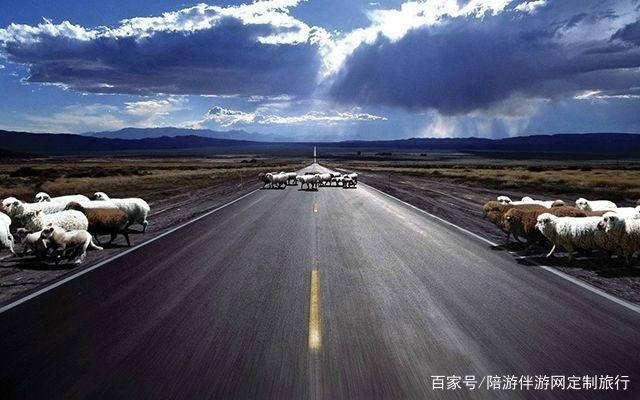 掌握这9个拍照技巧，分分钟化身专业摄影师-1.jpg