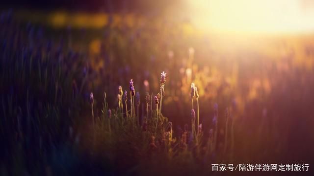 掌握这9个拍照技巧，分分钟化身专业摄影师-8.jpg