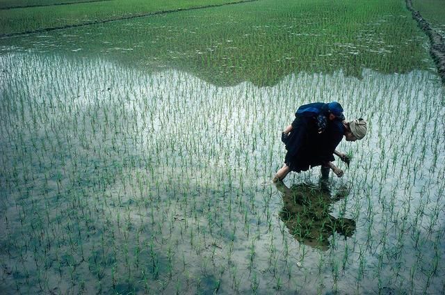 爱上中国的法国摄影师，用镜头记下30年侗寨记忆-19.jpg