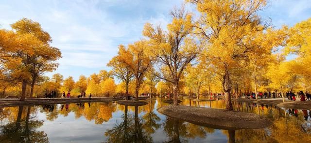 跟随摄影师的镜头，4大胡杨林景区，让你一次看个够-2.jpg