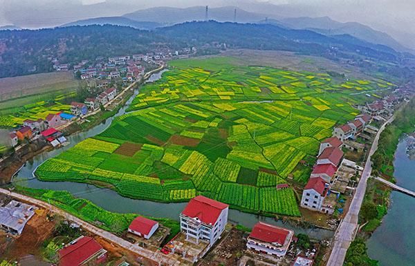 沪上一批摄影家在安徽考察文旅资源并采风 枞阳有望成为...-2.jpg