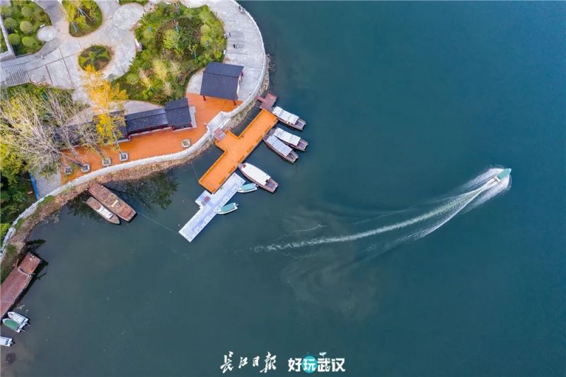 高中女教师玩摄影8年，因为热爱，所以治愈-8.jpg