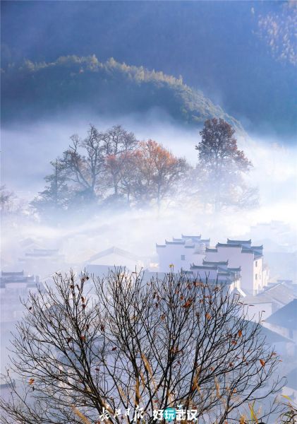 高中女教师玩摄影8年，因为热爱，所以治愈-14.jpg
