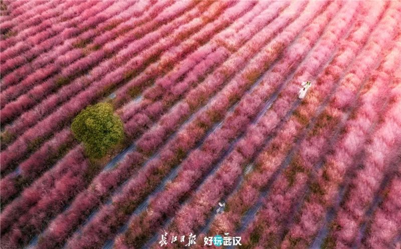 高中女教师玩摄影8年，因为热爱，所以治愈-15.jpg