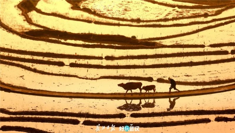 高中女教师玩摄影8年，因为热爱，所以治愈-16.jpg