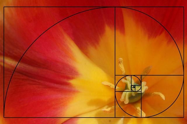 摄影构图的法则以及实例讲解-16.jpg
