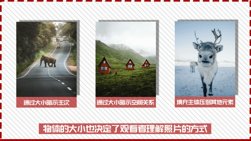 摄影构图学：培养从千篇一律，到万里挑一的构图“眼技...-6.gif