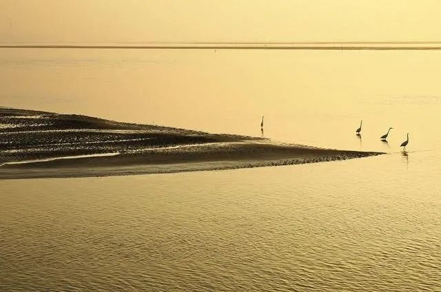 摄影入门 | 助你摆脱糖水风景照的15个建议-8.jpg