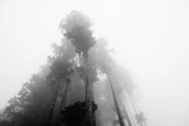 摄影入门 | 助你摆脱糖水风景照的15个建议-9.jpg