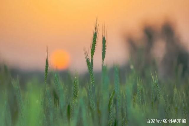 朋友圈「晚霞」拍照攻略来啦！洛阳摄影人推荐绝佳机位-6.jpg