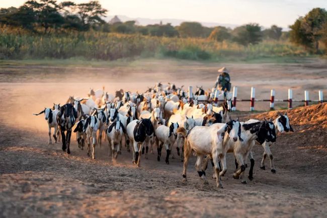 摄影干货|旅行街拍的实用技巧-14.jpg