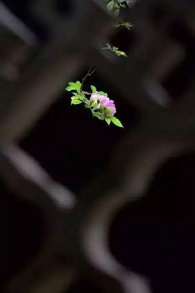 摄影有门道！构图有绝招-5.jpg