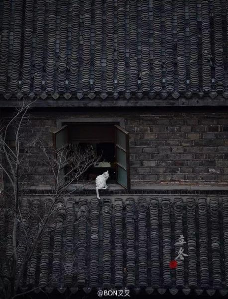 摄影有门道！构图有绝招-8.jpg