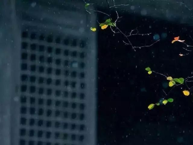 摄影有门道！构图有绝招-20.jpg