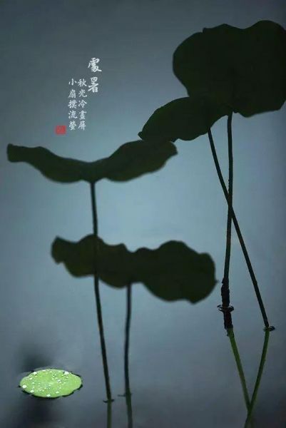 摄影有门道！构图有绝招-21.jpg