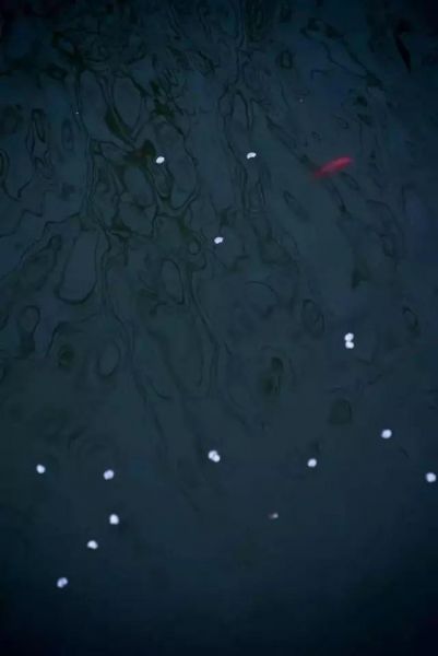 摄影有门道！构图有绝招-24.jpg