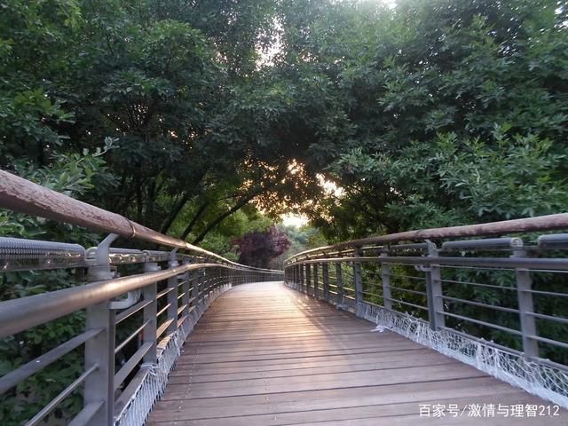 摄影基础入门之光线篇-3.jpg