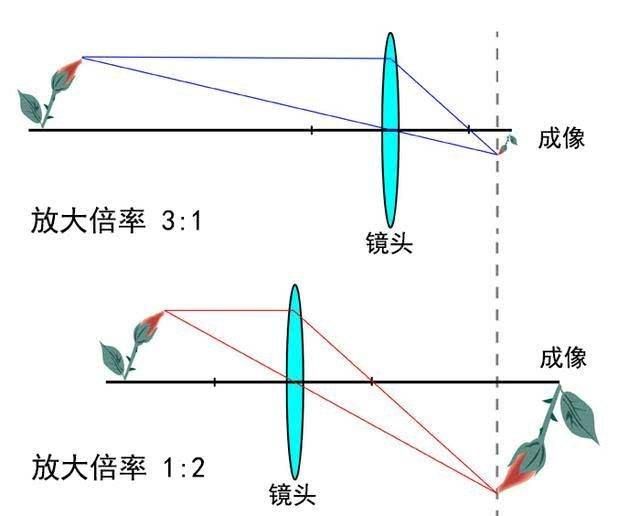 入门微距摄影的9个技巧，学会了可以少走弯路快速提升摄...-7.jpg