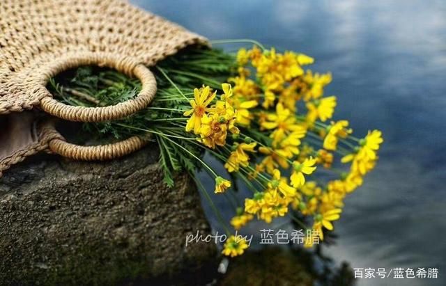 摄影随笔：10月，看曼妙的风景，拍喜欢的秋色-7.jpg