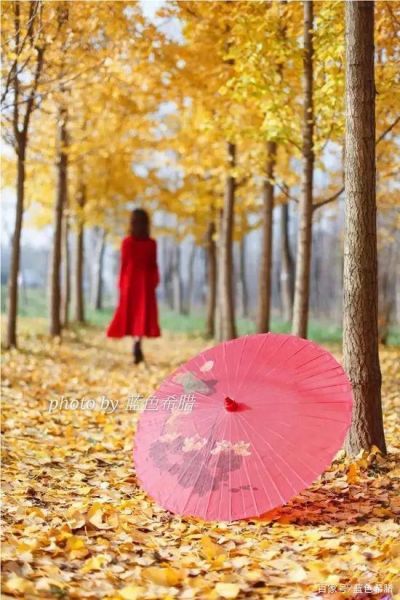 摄影随笔：10月，看曼妙的风景，拍喜欢的秋色-8.jpg