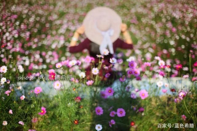 摄影随笔：10月，看曼妙的风景，拍喜欢的秋色-9.jpg