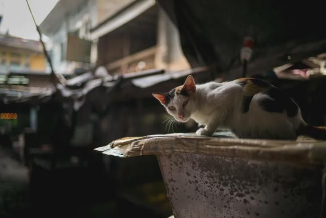 玩转镜头|人文摄影新宠儿—徕卡M 28mm/1.4-15.jpg