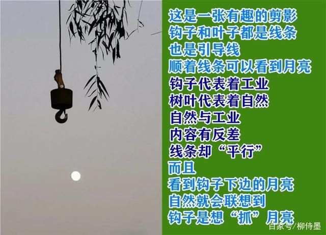 让照片“千里挑一”，一个摄影技巧就够用，这样拍照很...-8.jpg