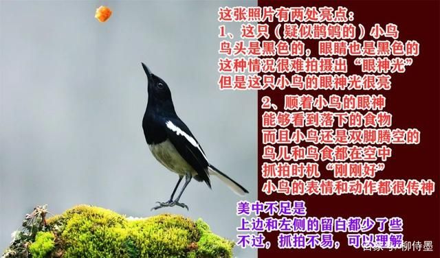 让照片“千里挑一”，一个摄影技巧就够用，这样拍照很...-14.jpg