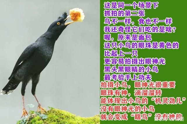 让照片“千里挑一”，一个摄影技巧就够用，这样拍照很...-16.jpg