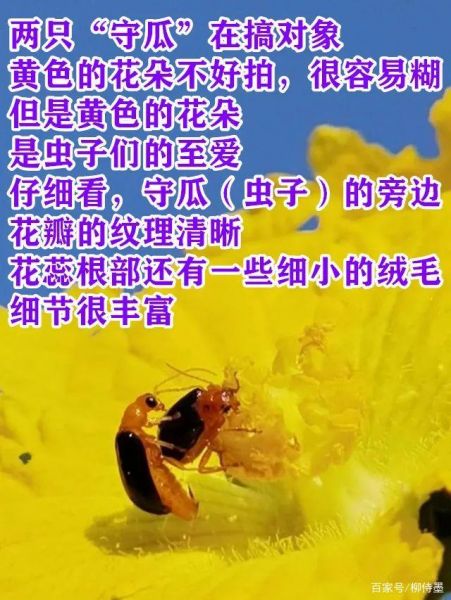 让照片“千里挑一”，一个摄影技巧就够用，这样拍照很...-18.jpg