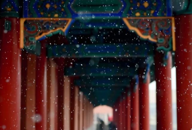 冬天拍照这么美，千万不能错过！这些技巧学好了！-23.jpg