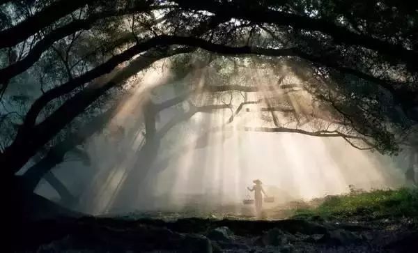 “秋景”拍摄的几个要点，很有用！-1.jpg