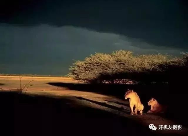 能玩明白这18个摄影技巧的都是老法师了！-8.jpg