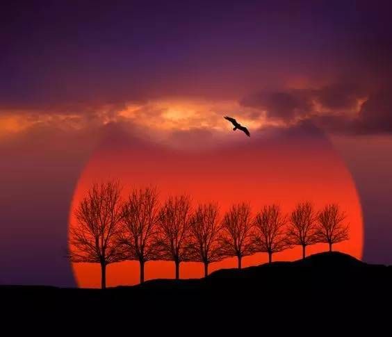 最全日落拍摄教程，不同角度拍出最美丽夕景！-1.jpg