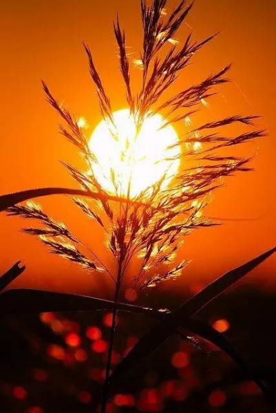 最全日落拍摄教程，不同角度拍出最美丽夕景！-12.jpg