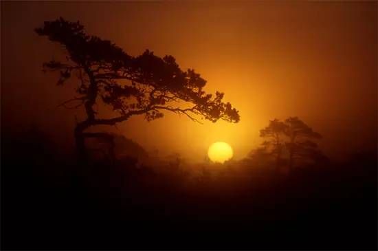 最全日落拍摄教程，不同角度拍出最美丽夕景！-13.jpg