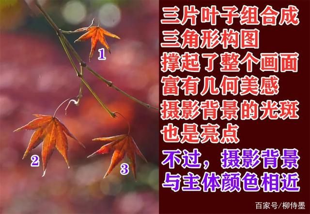 照片不好看的3个摄影错误，你知道吗？方法简单普通人一...-7.jpg