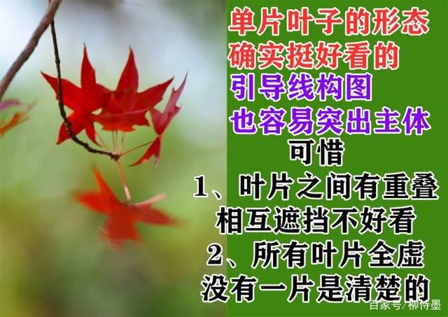 照片不好看的3个摄影错误，你知道吗？方法简单普通人一...-12.jpg