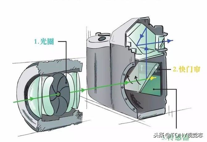 单反0基础简易易懂的入门教程（新手学习摄影的步骤顺序）-7.jpg