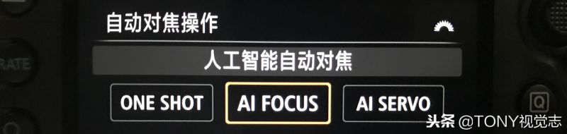 单反0基础简易易懂的入门教程（新手学习摄影的步骤顺序）-19.jpg