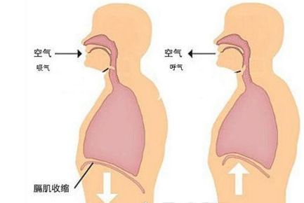 无基础唱歌技巧和发声方式教学，唱歌入门自学必看！-5.jpg