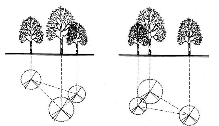 园林景观植物绿化设计方法&附世界园林植物与花卉百科全...-7.jpg